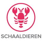 2schaald